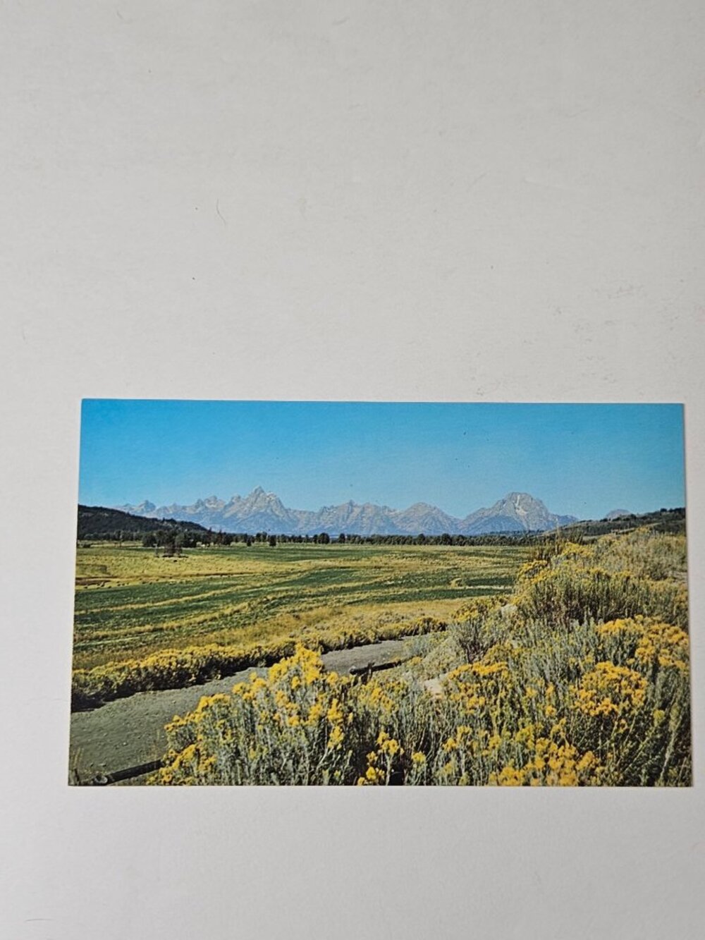 Grand Teton Range Highway 287 Lander Wyoming Postcard